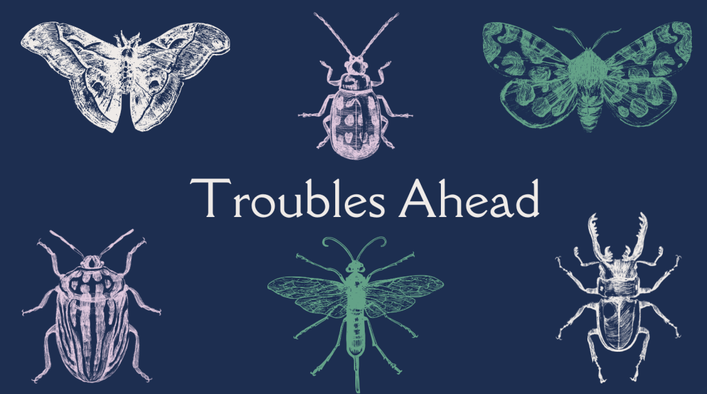 Flies in the Kitchen: What Are Your Network’s Warning&nbsp;Signs?